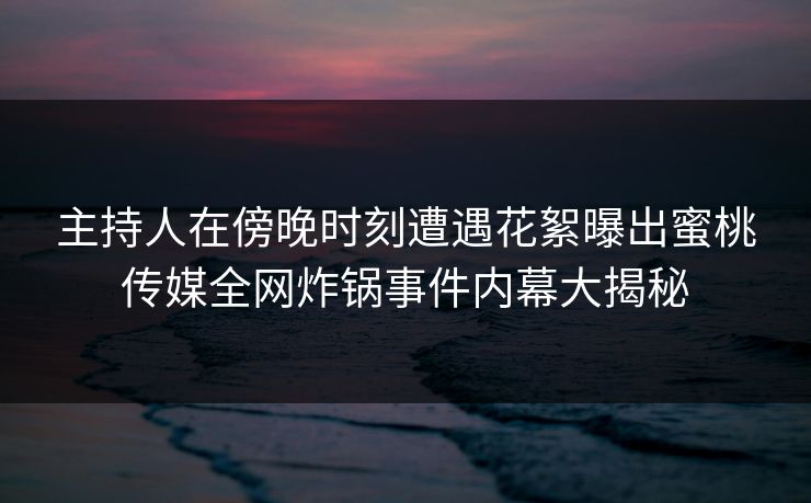 主持人在傍晚时刻遭遇花絮曝出蜜桃传媒全网炸锅事件内幕大揭秘