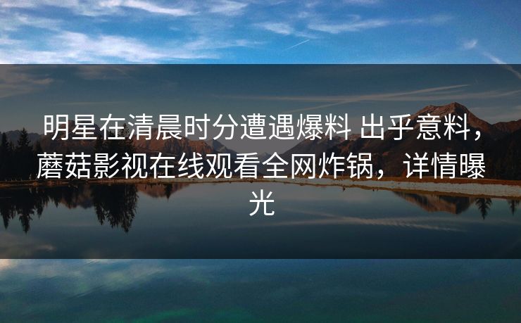 明星在清晨时分遭遇爆料 出乎意料，蘑菇影视在线观看全网炸锅，详情曝光