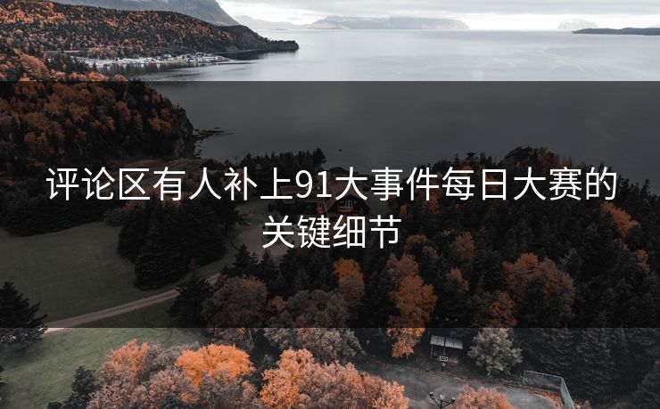 评论区有人补上91大事件每日大赛的关键细节